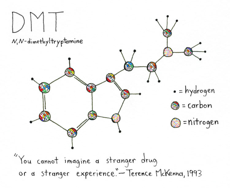 Chemical structure of DMT molecule