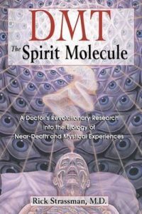 Dmt : the Spirit Molecule